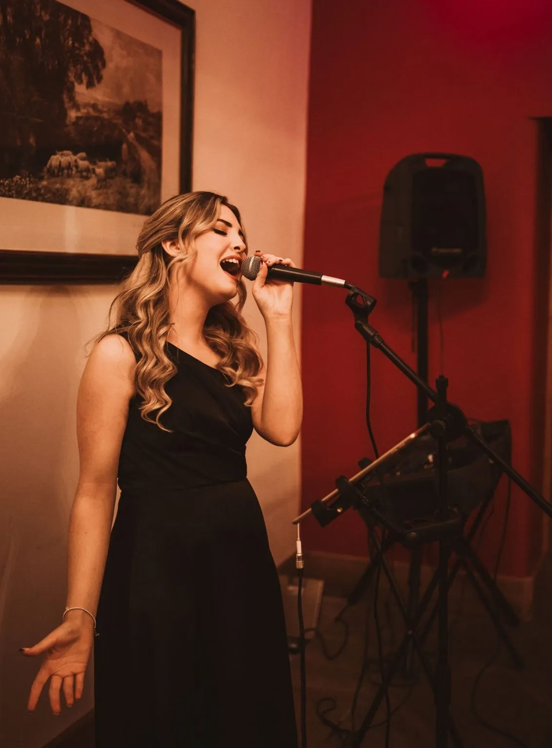 Jenny Jones, a professional wedding singer in Cheshire, performing live